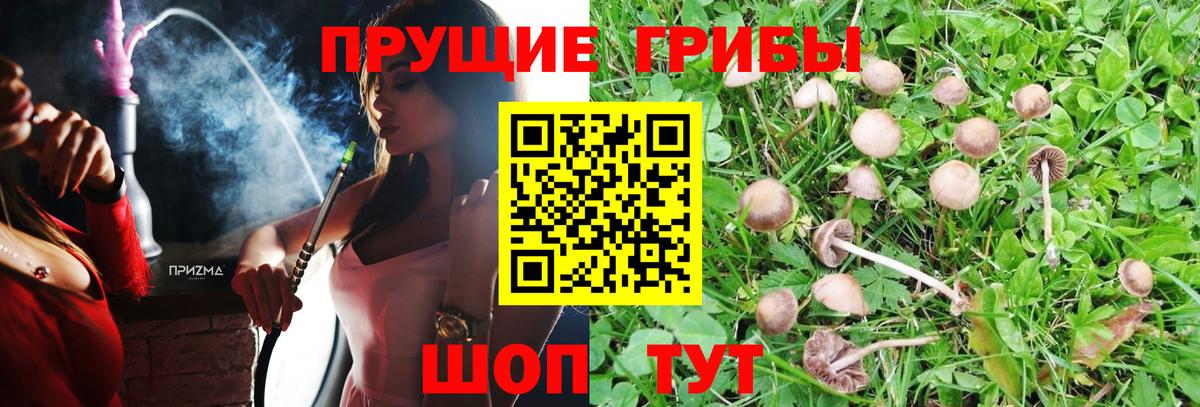Галлюциногенные грибы мицелий  Псилоцибиновые грибы MAGIC MUSHROOMS  Вход с VPN  Южноуральск 